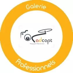 Professionnels (et associations)